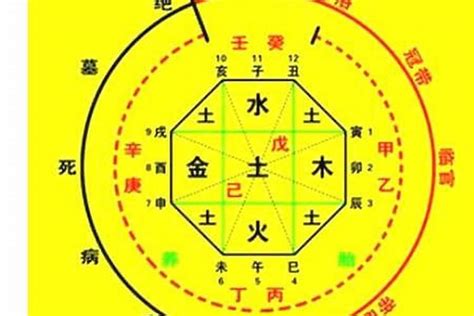 喜神忌神查询|八字喜用神在线查询器,五行喜什么查询免费